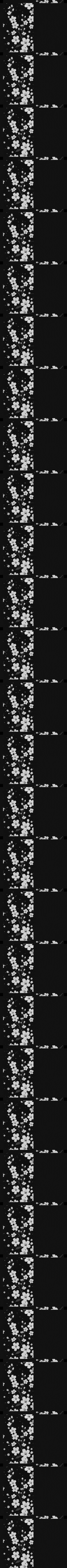 Rejoice Flower