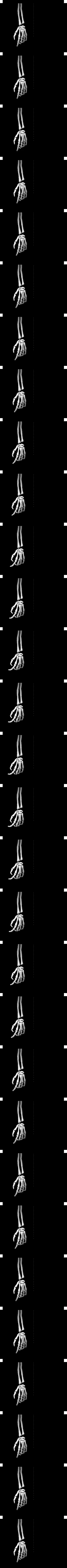 Sharpness Skullhand