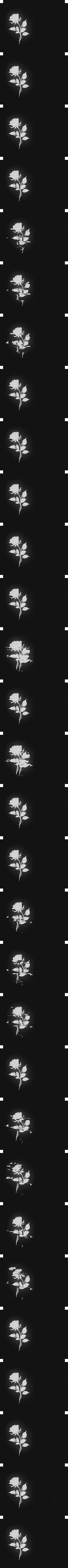Glitched Rose