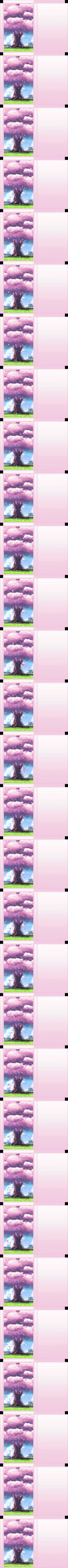 Blossom Tree