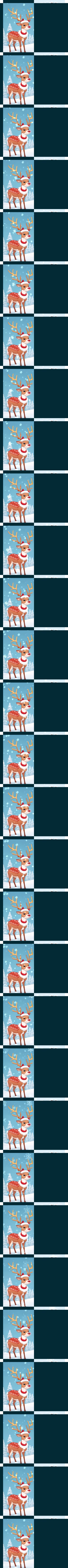 Raindeer